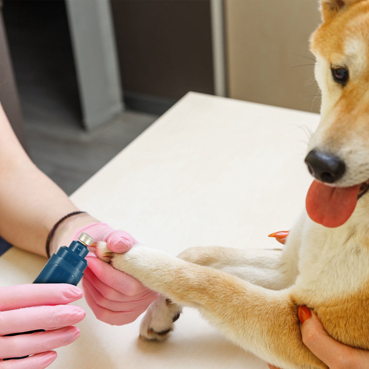 Quiet Electric Pet Nail Grinder for Cats & Dogs
